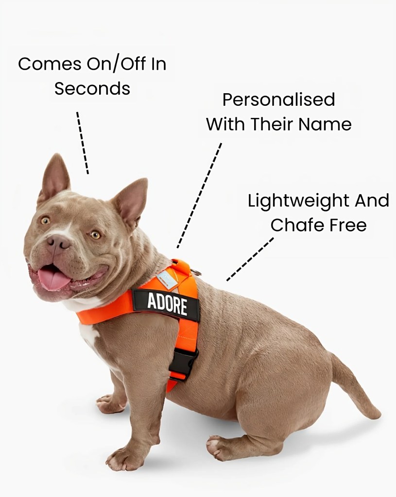 Dog Friendly Co harness comes on and off in seconds.