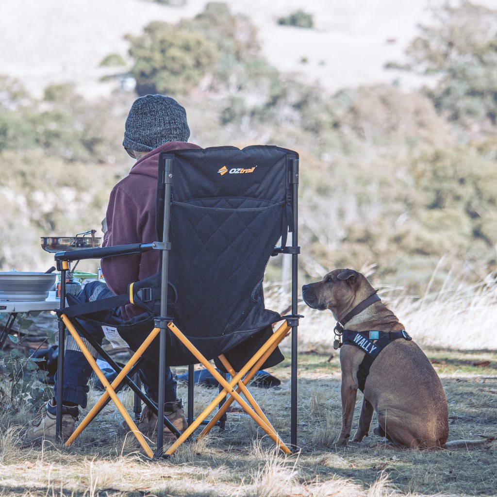 Wally in his Dog Friendly Co Harness